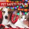 Holiday pet  safety tips